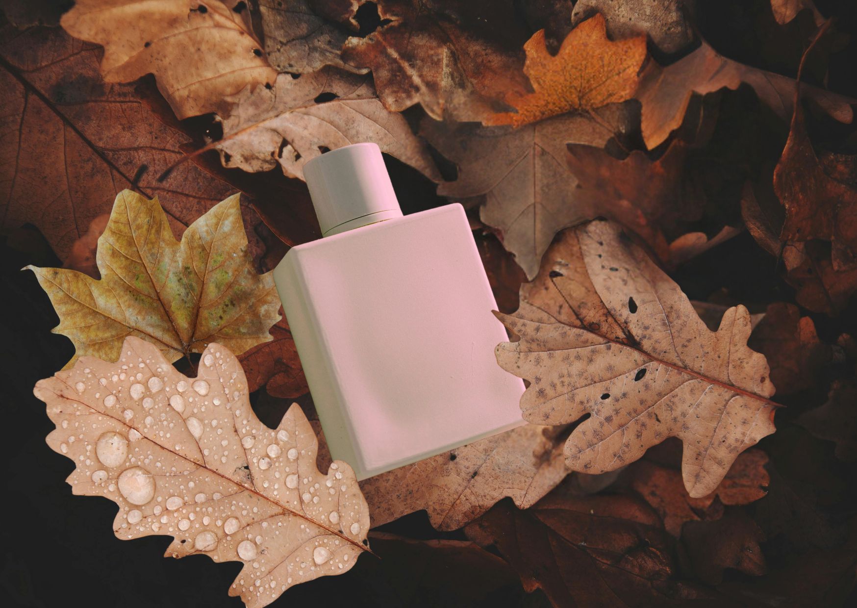 Profumi per l'autunno